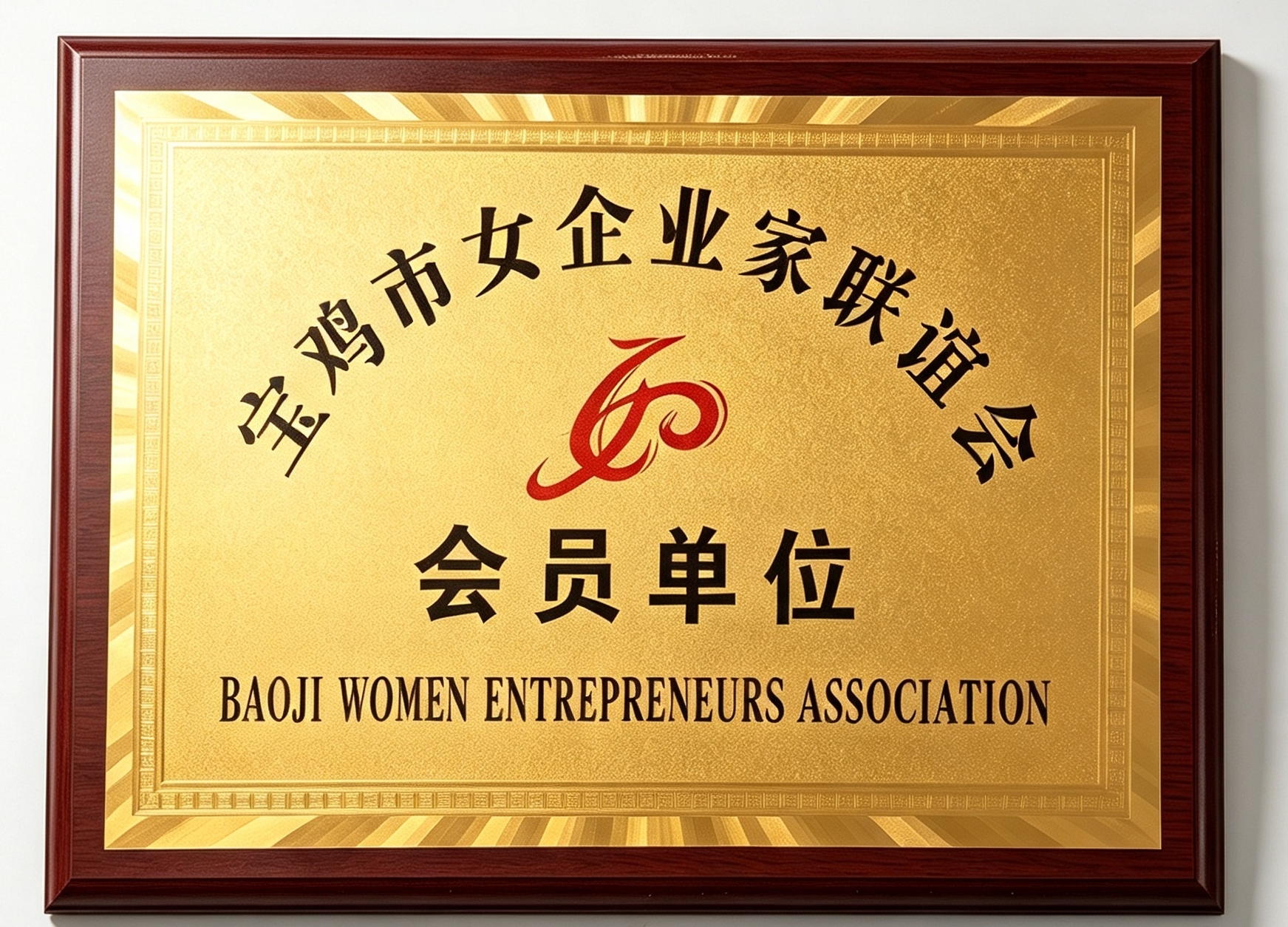宝鸡市女企业家联谊会理事单位